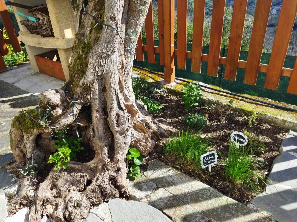 Amphiorama La Spezia